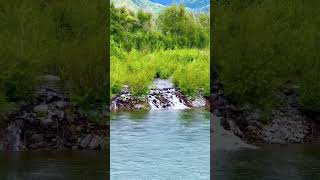 Горный Алтай #live #love #mountains #beautifulworld #travel