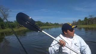 Recorriendo en kayak el Monte lindo Formosa.