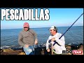 Pescadillas en Marchi