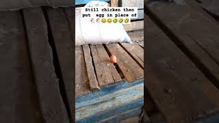 Still Chicken chicken comedy comedynyarwanda titicomedytiti speed comedyshorts kcee tren