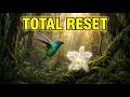 Full Body Energy Reset: 528Hz Healing Music for Nervous System & Inner Peace