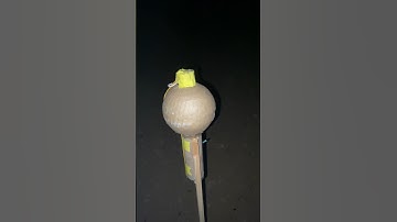 4” Strobe Rocket #firework