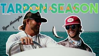 Tampa bay Tarpon and Gag Grouper Fishing 