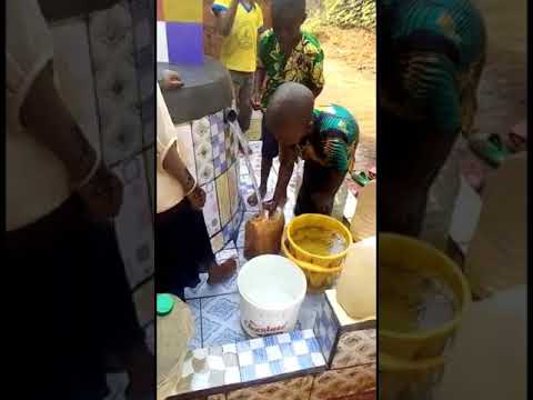 مريدو الزاوية الكركرية بجمهورية الكاميرون يقومون بحفر بئر للماء الصالح للشرب