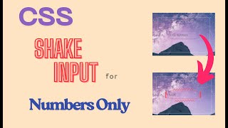 Shake Input When Non-Numbers Are Typed | HTML & CSS Tutorial