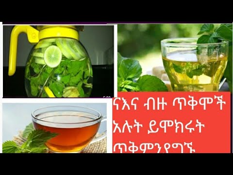 ቪዲዮ: የስር አትክልቶች ጥቅሞች