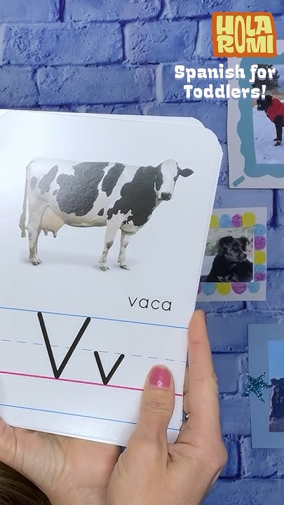 Random Spanish Words For Easy Spanish Lesson For Children YouTube random-spanish-words-for-easy-spanish-lesson-for-children-youtube