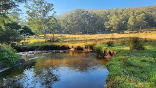 Fishing The Toorongo River On Good Friday