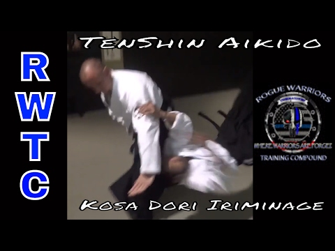 Combat Aikido - Break his neck using Iriminage #takingaikidoback