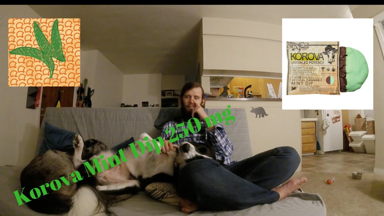 Korova 250 mg Mint Dip Marijuana Edible Review