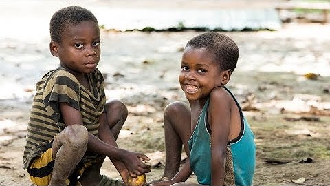 Greenpeace Africa - Give the Congo Basin Forest a Chance