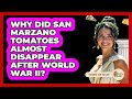 Why Did San Marzano Tomatoes Almost Disappear After World War II? - Story Of Italy
