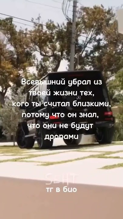 темки #тема #темка #темщик #темки #temkispb #fyp #рекомендации - YouTube