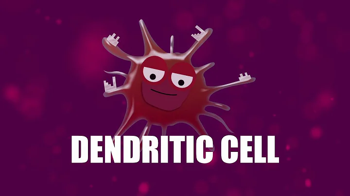 Supercytes - How to say 'Dendritic cell'