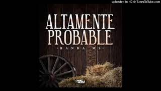 Banda Sinaloense MS de Sergio Lizarraga - Altamente Probable EPICENTER