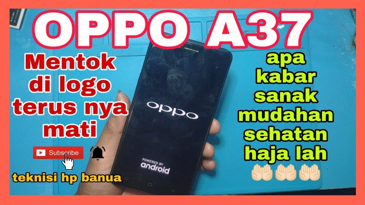 OPPO A37 hanya mentok di logo oppo terus mati 