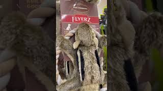 Squirrel Dog Toy On a Shelf in the Grocery Store.