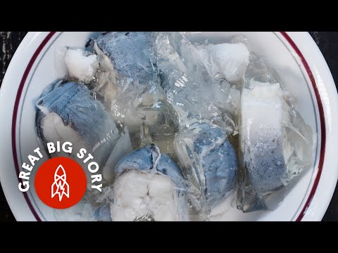 Video: Jellied Fish