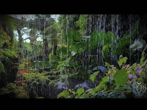 10 Hours of Tropical Rain & Soft Thunder 🌴 | Deep Sleep, Relaxation & Stress Relief
