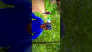 nelliyampathy offroad jeep trekking#nelliyampathy