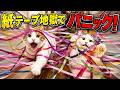 大量の紙テープで廊下を封鎖したら猫は突破できるのか…?!