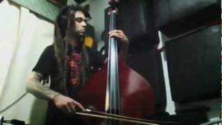 Video thumbnail of "Mr Krinkle (Primus) on Bass"