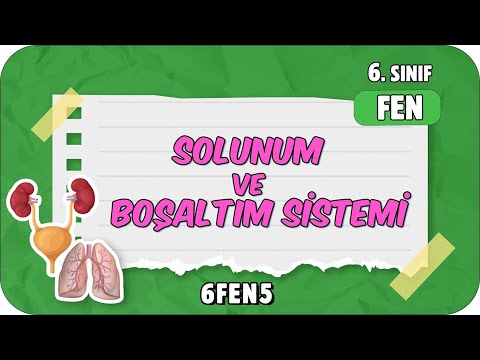 Solunum ve Boşaltım Sistemi 📗 tonguçCUP 2.Sezon - 6FEN5 #2024