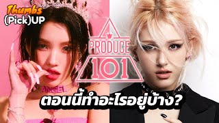 ผู้เข้าแข่ง Produce 101 ตอนนี้ทำอะไรอยู่? - Thumbs (Pick) Up! | Thumbster