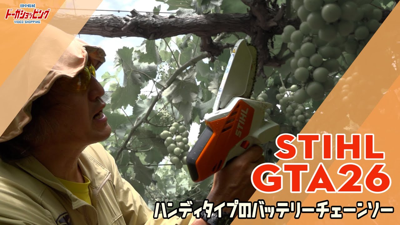 STIHL ハンディタイプのチェンソー GTA26 ≪タナキカ≫ - YouTube