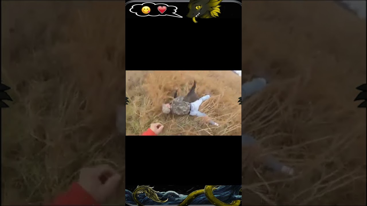 Приколы Distric 43 №21