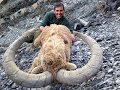 Tur hunting in Azerbaijan (KEL DAG area)   - Охота в Азербайджане www.turhunt.com