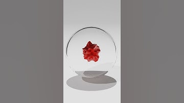 satisfying animation in blender 60 fps