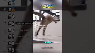 Level 1-10 Cat Fails Moments (It Gets Works) #shorts