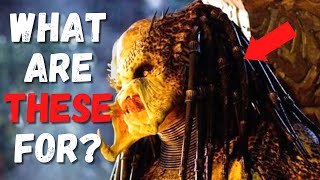 Why do Predators have DREADLOCKS!? | Predator Hair Explained