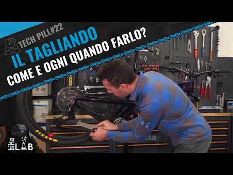 The service: how and when to do it? | Tech Pill #22