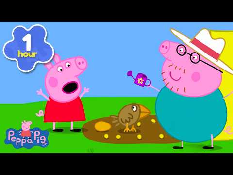 🌻 Peppa og George planter en hage | Peppa Gris | Tegnefilmer for barn