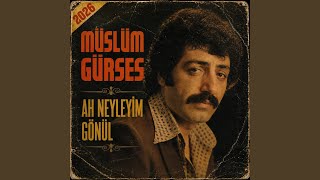 Ah Neyleyim (2026)