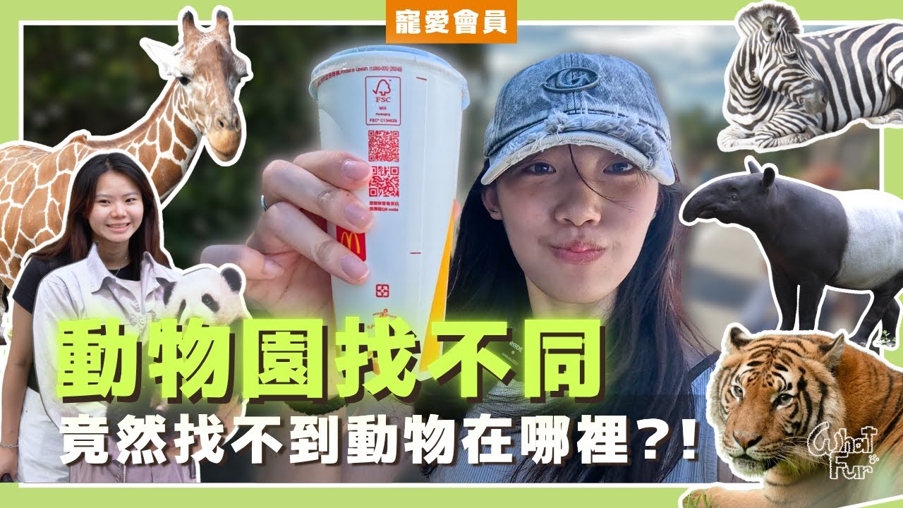 台馬動物園找不同 ！動物都去哪了？花絮比正片精彩！【寵愛會員EP.5】｜WhatFur什麼毛
