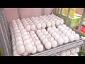 たまご309円・豚肉293円で過去最高値　農水省調査｜TBS NEWS DIG