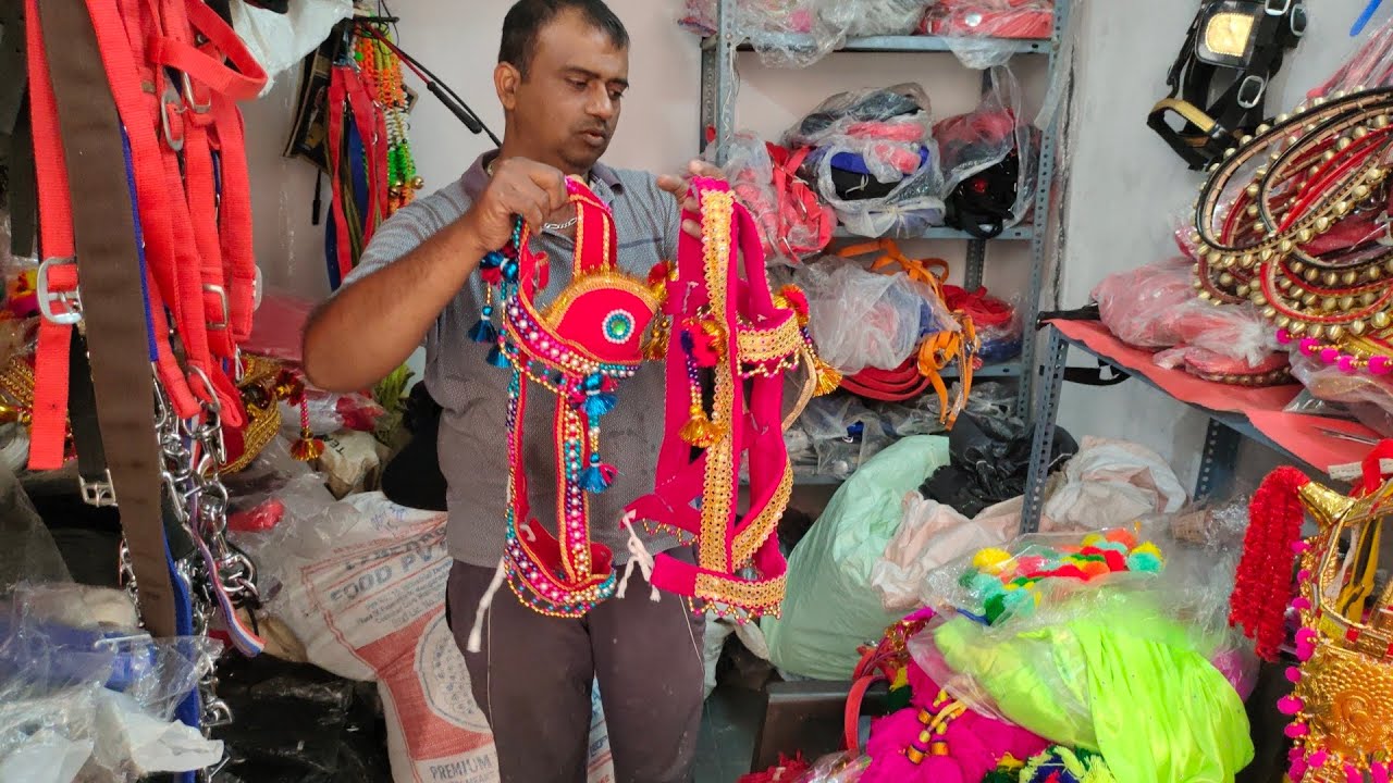Royal lagam horse accessories shop in Hyderabad ghode ka zewar shadi baraat ke ghode YouTube