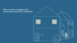 Bosch Intrusion Systems