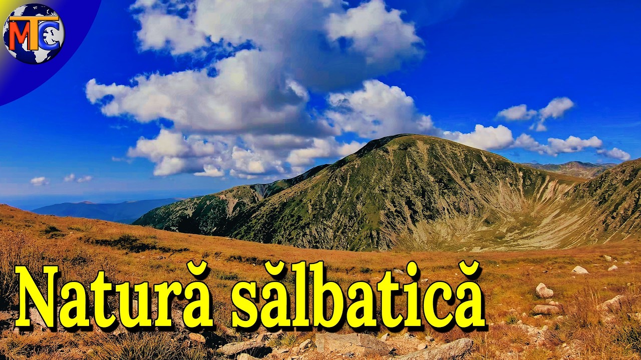 Peisaje Transalpina: 10 minute de natură sălbatică (4K Cinematic) – Video