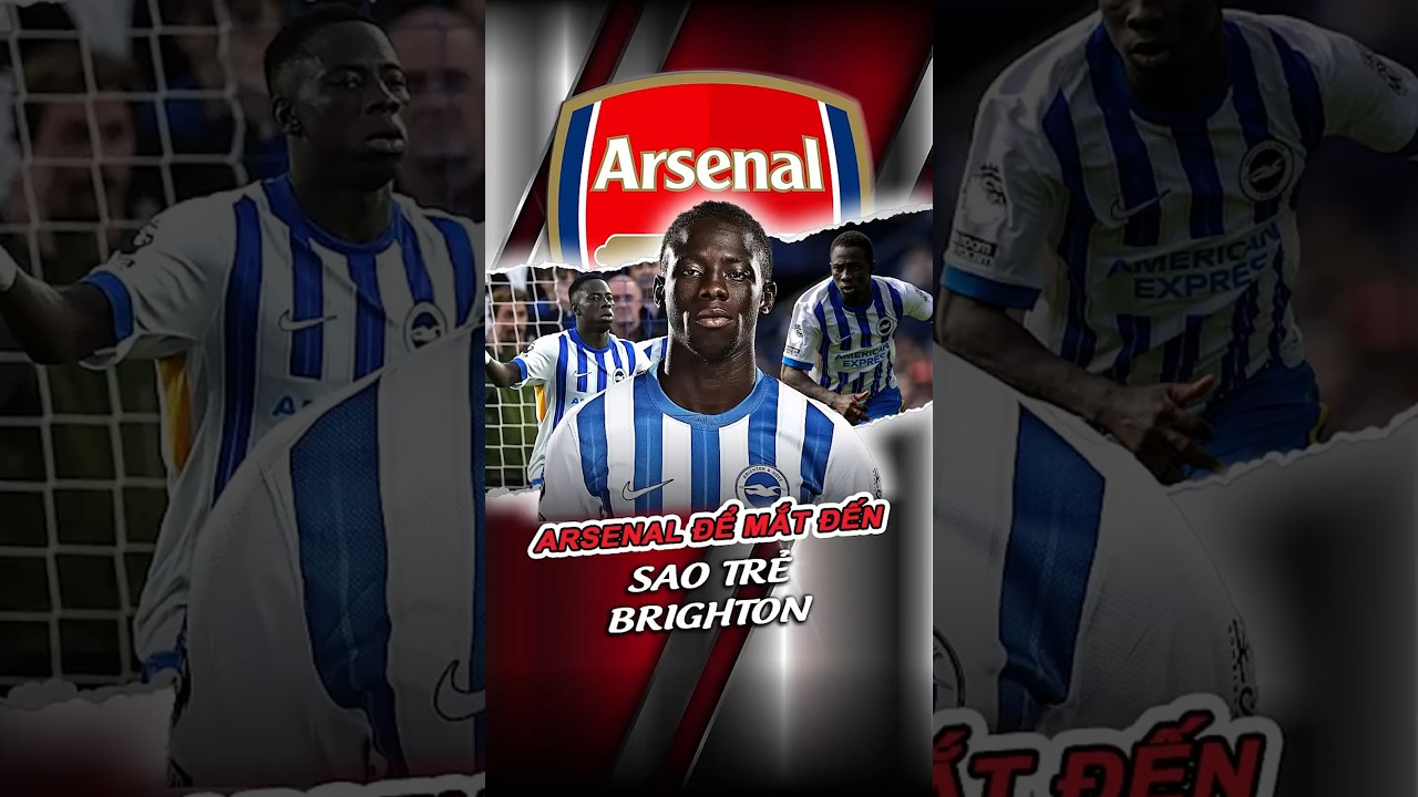 leo leo shop ARSENAL ĐỂ MẮT ĐẾN SAO TRẺ BRIGHTON arsenal bongda24h football bongdacungfb88