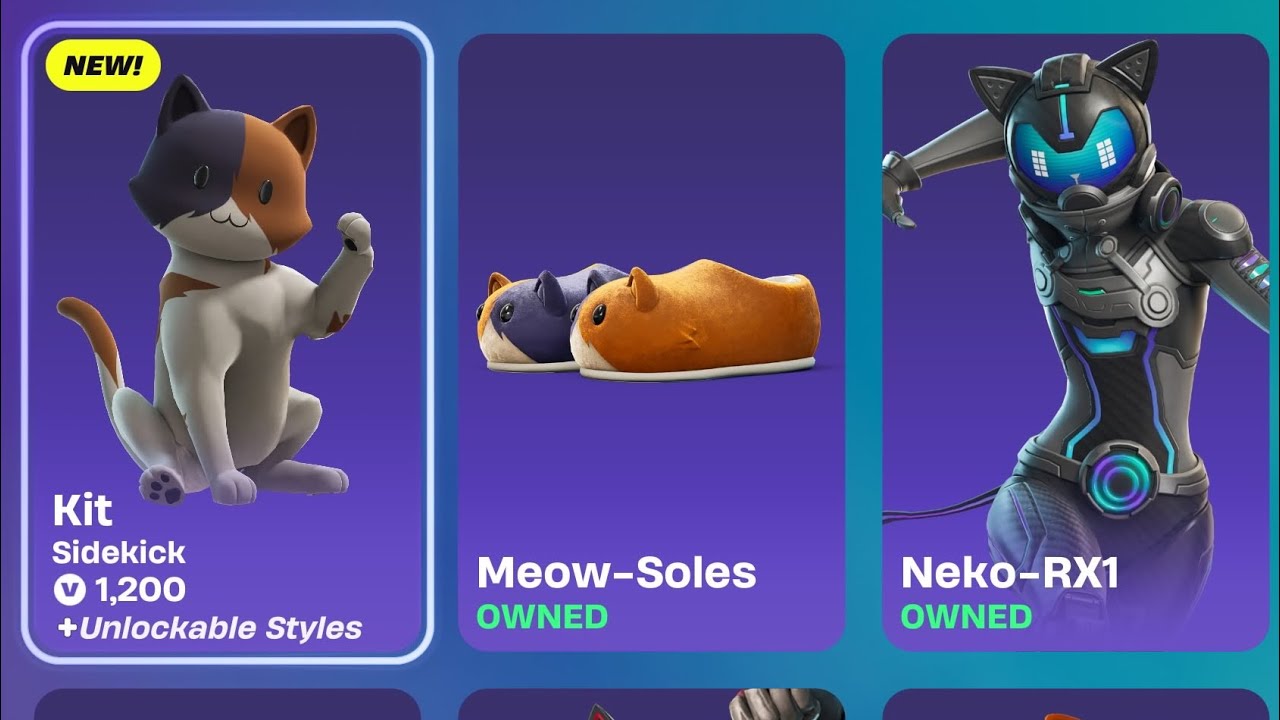 Fortnite gameplay of the Kit Sidekick