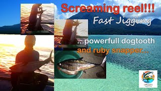 Fast Jigging | Powerful Dogtooth Tuna and Ruby Snapper | Vertical Jigging | Camiguin Jigging