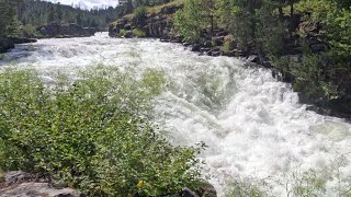 Sheep Falls and Particle Accelerator - Henry’s Fork Kayaking - 1780 cfs