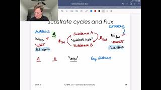 Substrate Cycles