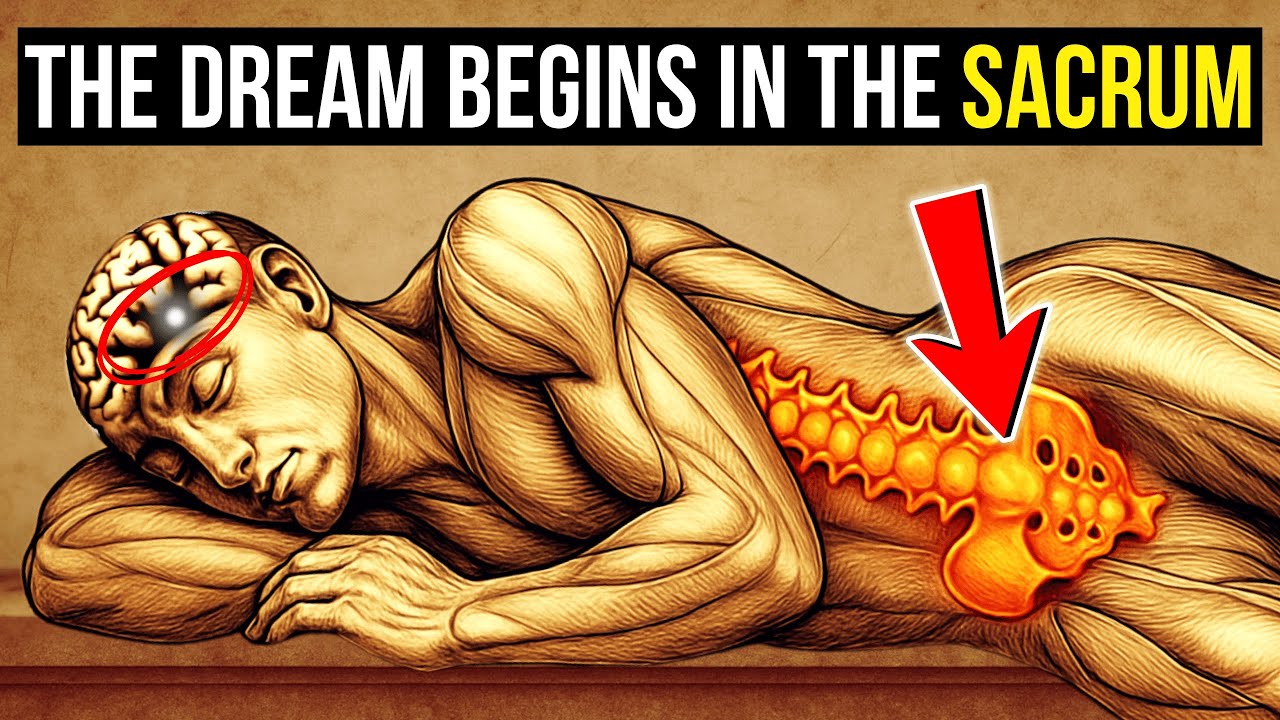 Craniosacral Therapy: The Sacred Touch That Activates Lucid Dreams While Awake