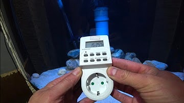 Таймер электронный "Evology" БЫСТРАЯ НАСТРОЙКА☝️