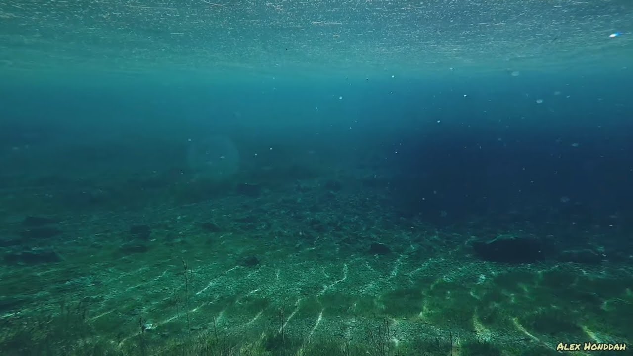 Der geheimnisvolle Grüne See - Unterwasseraufnahmen - Tragöß - Steiermark